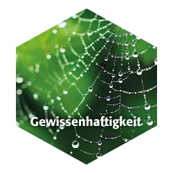 Core Six Gewissenhaftigkeit