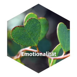 Core Six Emotionalität