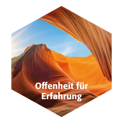 Core Six Offenheit für Erfahrung