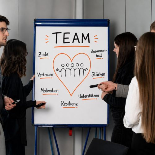persolog-Experte für Teamentwicklung